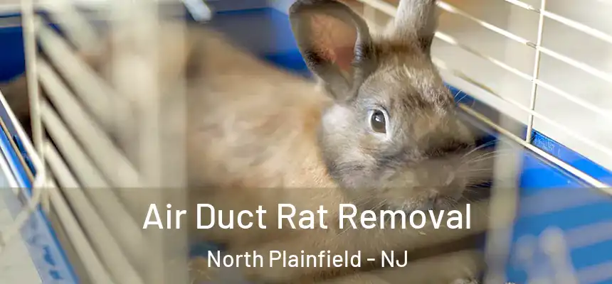  Air Duct Rat Removal North Plainfield - NJ