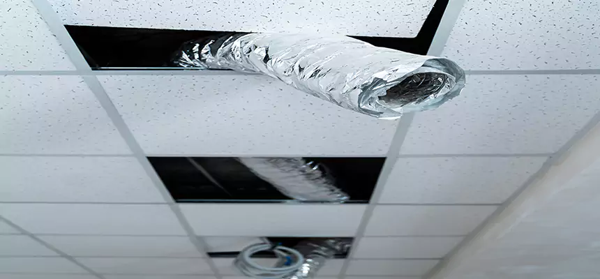 Affordable HVAC Sanitizing After Pest Removal in North Plainfield