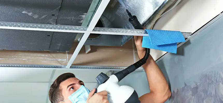 Our Air Duct Rodent Removal Services in North Plainfield, NJ