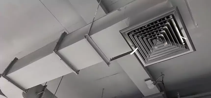 Restorative Allergy Relief Vent Cleaning – Coil, Blower & Housing Detail in North Plainfield