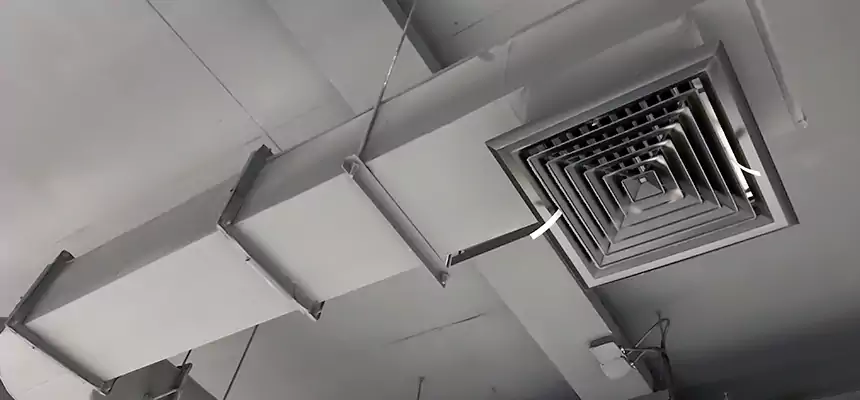 Our Pest Removal From Ducts Services in North Plainfield, NJ