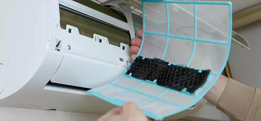 Gentle Ductwork Odor-Control Pet Dander Duct Cleaning in North Plainfield, NJ