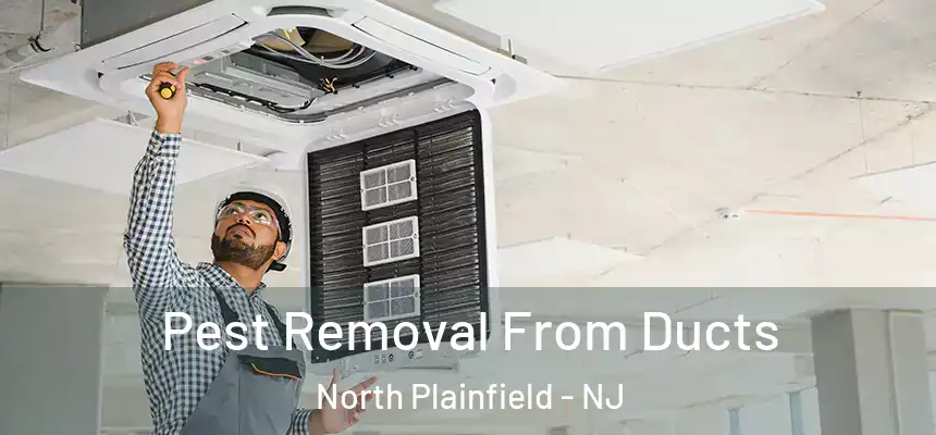 Pest Removal From Ducts North Plainfield - NJ