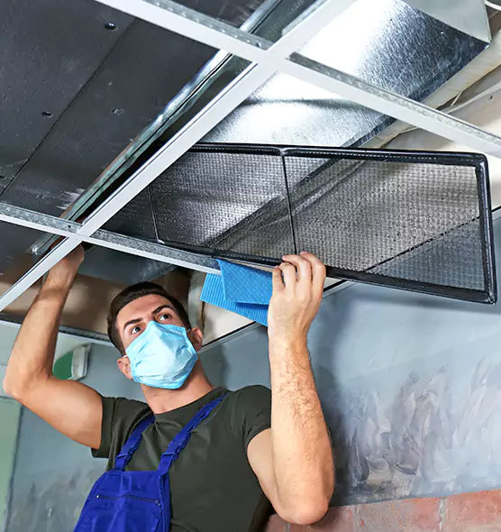 About Air Duct Bacteria Removal in North Plainfield