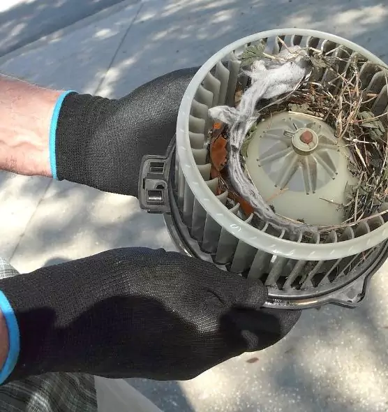 About Air Duct Rat Removal in North Plainfield, NJ