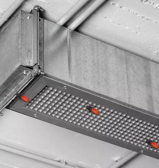 Affordable Insect Removal from Air Ducts in North Plainfield, NJ