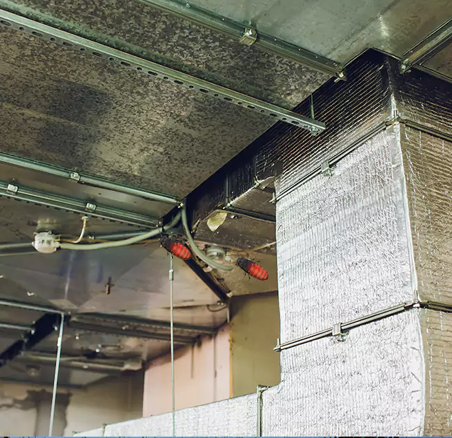 Why Homeowners & Businesses Trust Us in North Plainfield, NJ?