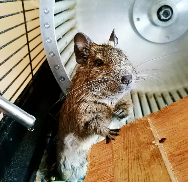 Why Homeowners & Businesses Trust Us North Plainfield, NJ?